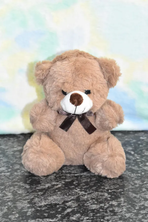 Brown_Fuzzy_Teddy_Rabbit_Fur_Plush_Toy