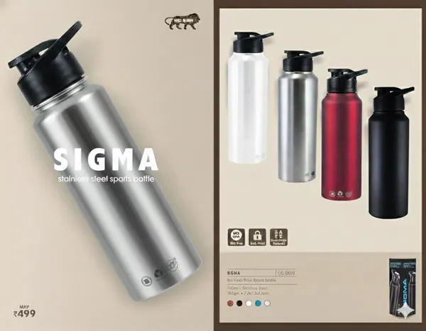 Silver_Stainless_Steel_Sigma_Stainless_Steel_Sports_Bottle_For_Unisex