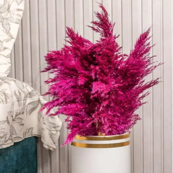 Pink_Dried_Pampas_Set_Of_10_Sticks_For_Decoration