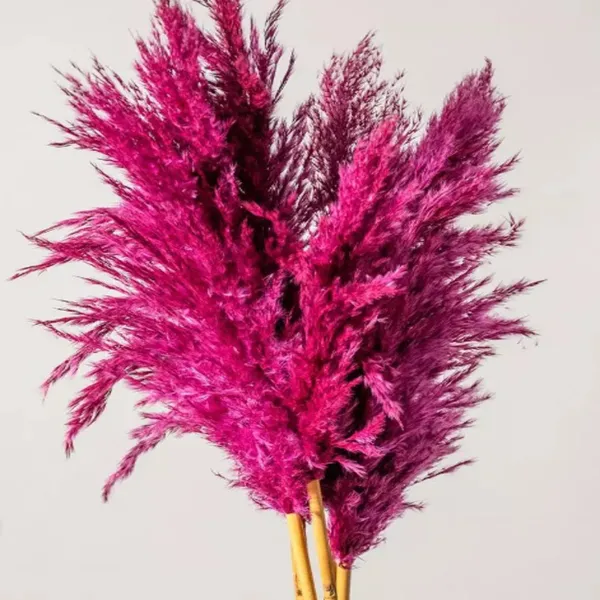 Pink_Dried_Pampas_Set_Of_10_Sticks_For_Decoration