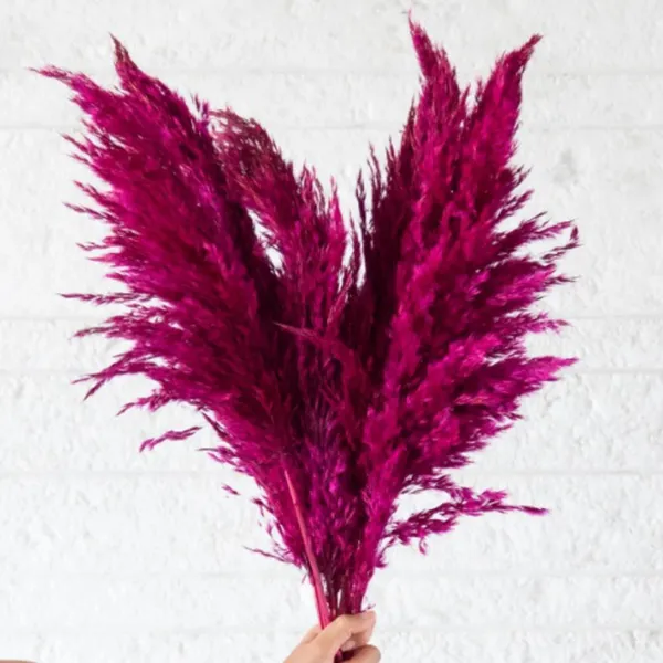 Pink_Dried_Pampas_Set_Of_10_Sticks_For_Decoration