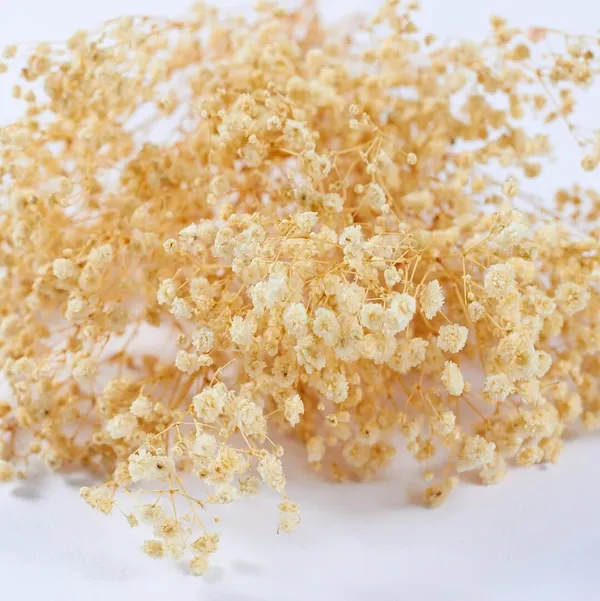 Beige_Baby_Breath_Natural_Flower_For_Decoration