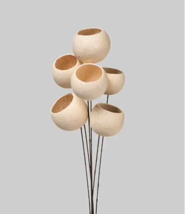 Beige_Bell_Cups_Natural_(Set_Of_10)_For_Decoration