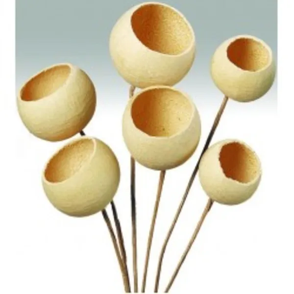 Beige_Bell_Cups_Natural_(Set_Of_10)_For_Decoration