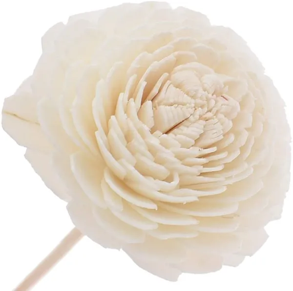 White_Sola_Flower_10_Stems_For_Decoration