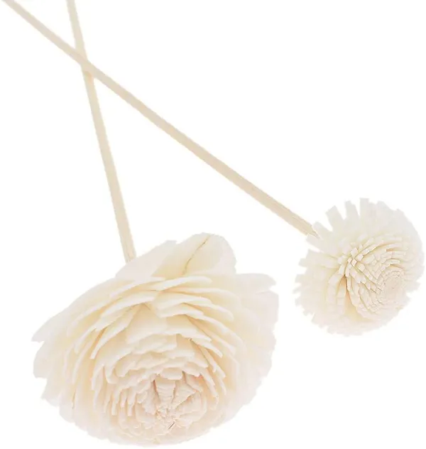 White_Sola_Flower_10_Stems_For_Decoration