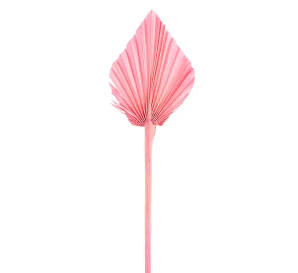 Pink_Palm_Spear_(Set_Of_10)_For_Decoration