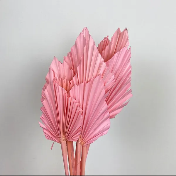 Pink_Palm_Spear_(Set_Of_10)_For_Decoration