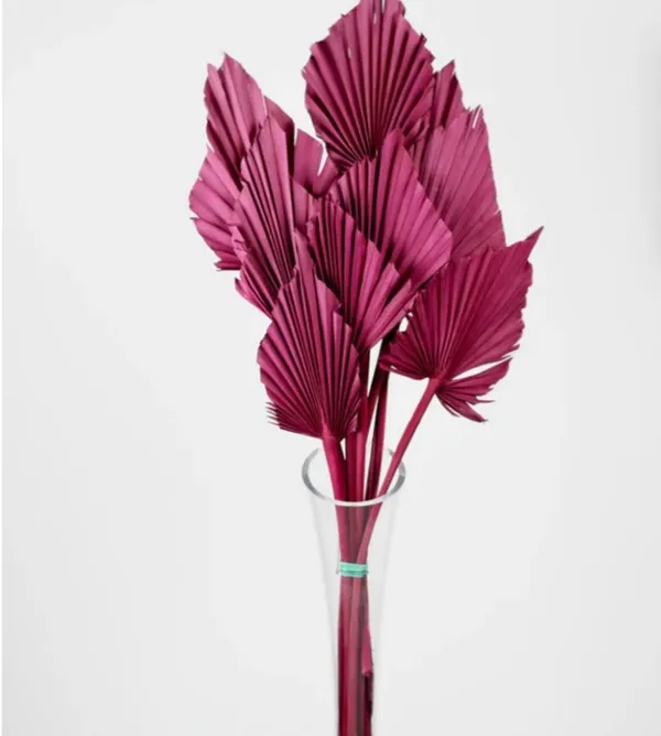 Pink_Palm_Spear_(Set_Of_10)_For_Decoration