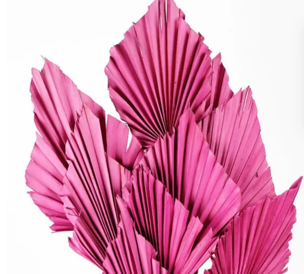 Pink_Palm_Spear_(Set_Of_10)_For_Decoration