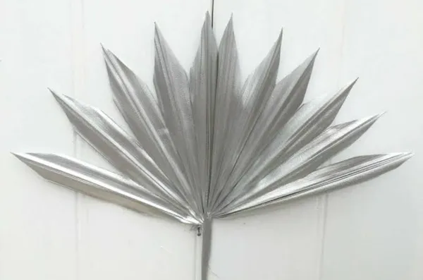 Silver_Sun_Palm_5_Stems_For_Decoration