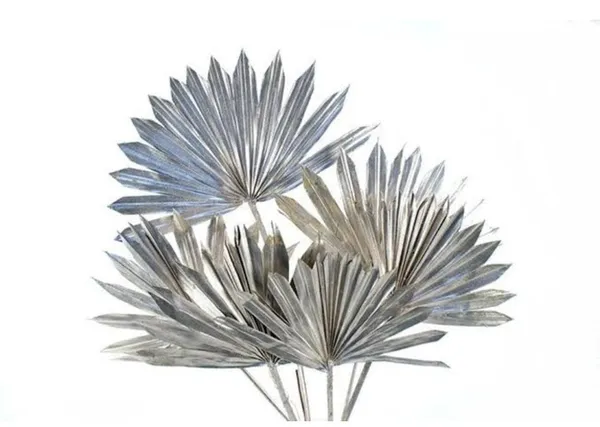 Silver_Sun_Palm_5_Stems_For_Decoration