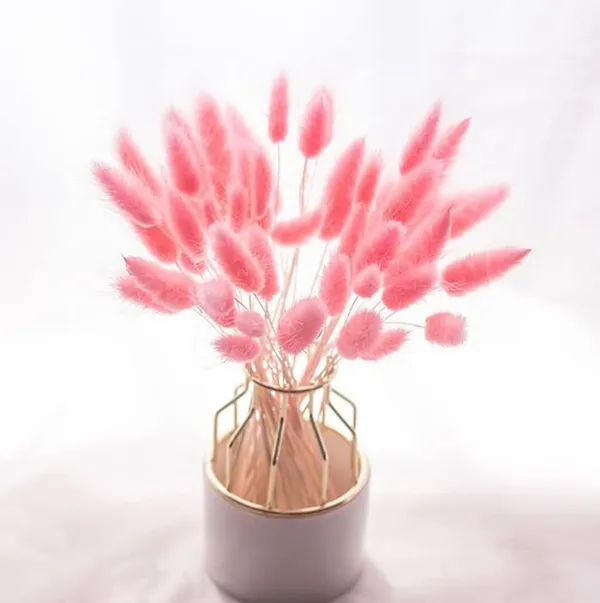 Pink_Dried_Bunny_Tails_Pink_30Pcs_Pack_For_Decoration