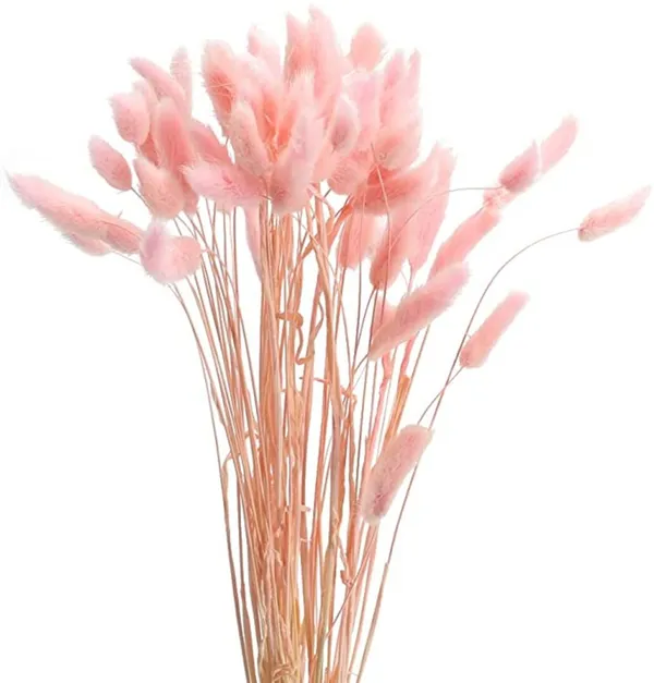Pink_Dried_Bunny_Tails_Pink_30Pcs_Pack_For_Decoration