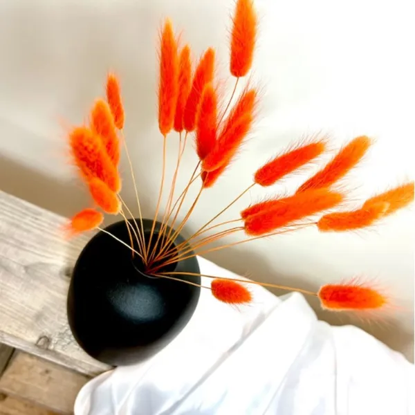 Orange_Dried_Bunny_Tails_30Pcs_Pack_For_Decoration