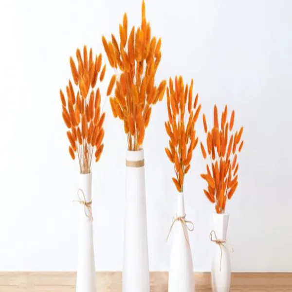 Orange_Dried_Bunny_Tails_30Pcs_Pack_For_Decoration