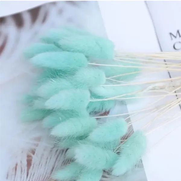 Light_Green_Dried_Bunny_Tails_30Pcs_Pack_For_Decoration