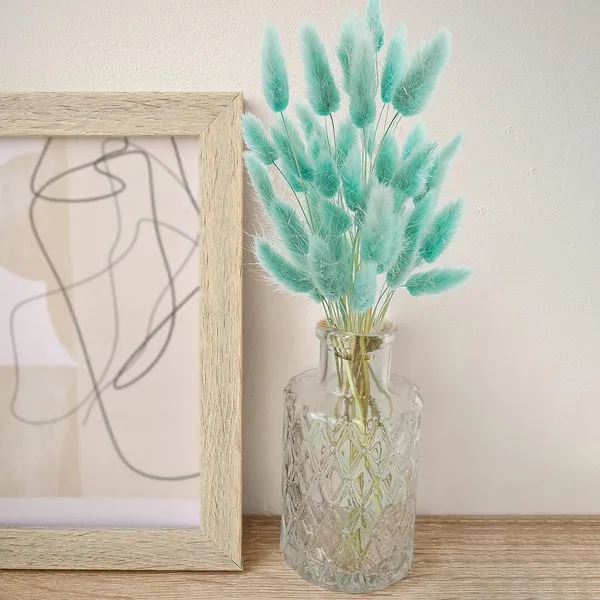 Light_Green_Dried_Bunny_Tails_30Pcs_Pack_For_Decoration