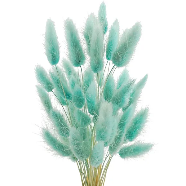 Light_Green_Dried_Bunny_Tails_30Pcs_Pack_For_Decoration
