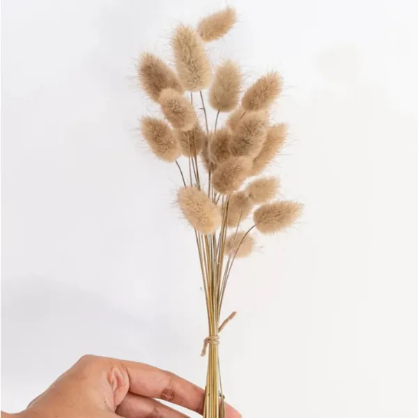 Natural_Dried_Bunny_30Pcs_Pack_For_Decoration