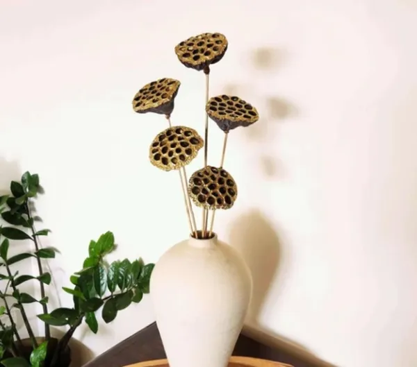 Natural_Dried_Lotus_Pod_With_Stick_5_Stems_For_Decoration