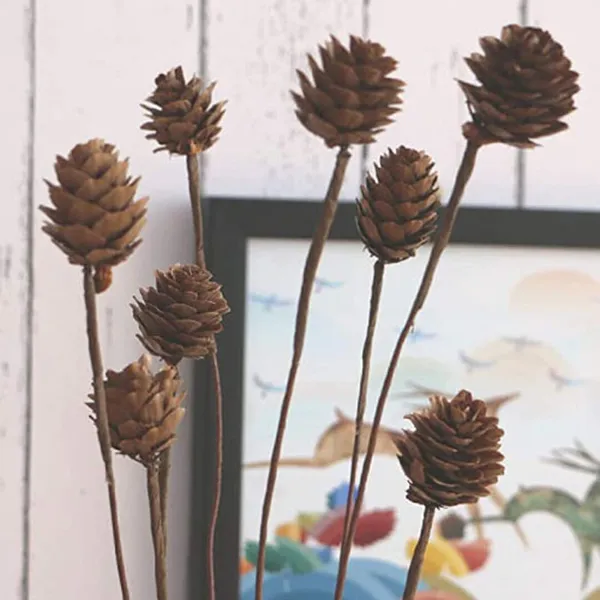 Natural_Dried_Pine_Cones_5_Stems_For_Decoration