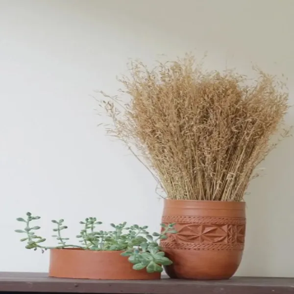 Cream_Dried_Star_Grass_Natural_Bunch_50_Grams_For_Decoration