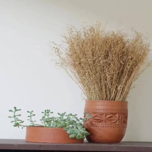 Cream_Dried_Star_Grass_Natural_Bunch_50_Grams_For_Decoration