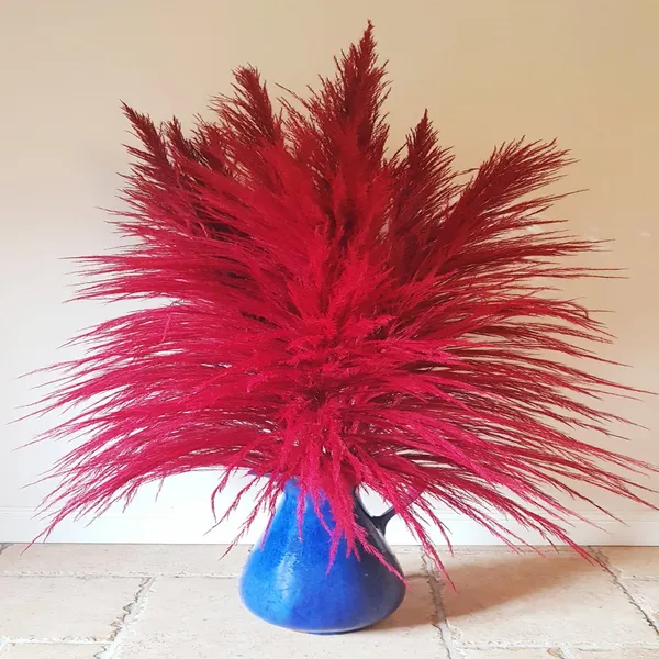 Red_Dried_Pampas_Set_Of_10_Sticks_For_Decoration