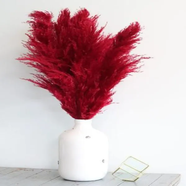 Red_Dried_Pampas_Set_Of_10_Sticks_For_Decoration