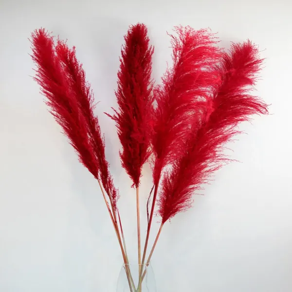 Red_Dried_Pampas_Set_Of_10_Sticks_For_Decoration
