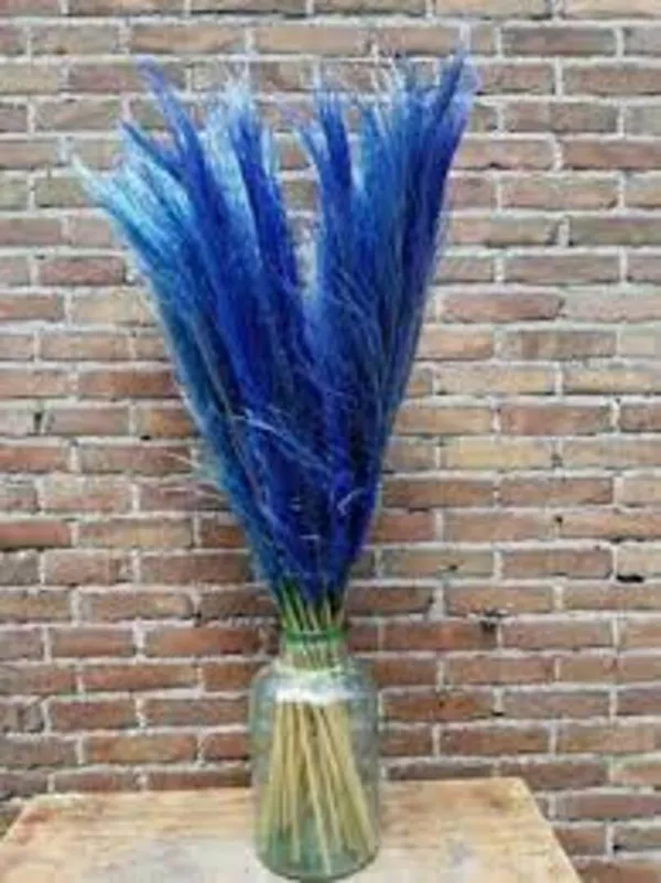 Blue_Dried_Pampas_Set_Of_10_Sticks_For_Decoration