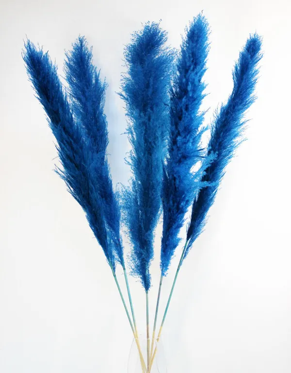 Blue_Dried_Pampas_Set_Of_10_Sticks_For_Decoration