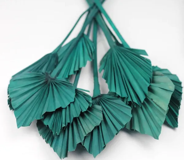 Green_Eco-Friendly_Dried_Palm_Leaves_For_Decoration