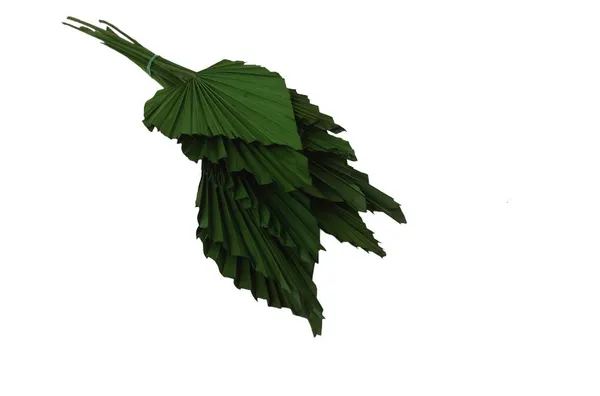 Green_Eco-Friendly_Dried_Palm_Leaves_For_Decoration