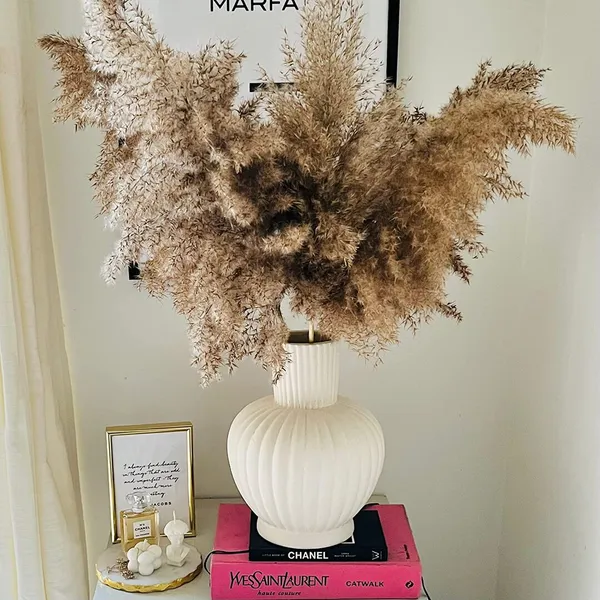 Natural_Pampas_Set_Of_10_Sticks_For_Decoration