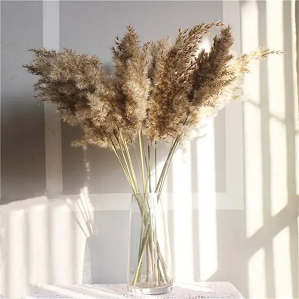 Natural_Pampas_Set_Of_10_Sticks_For_Decoration