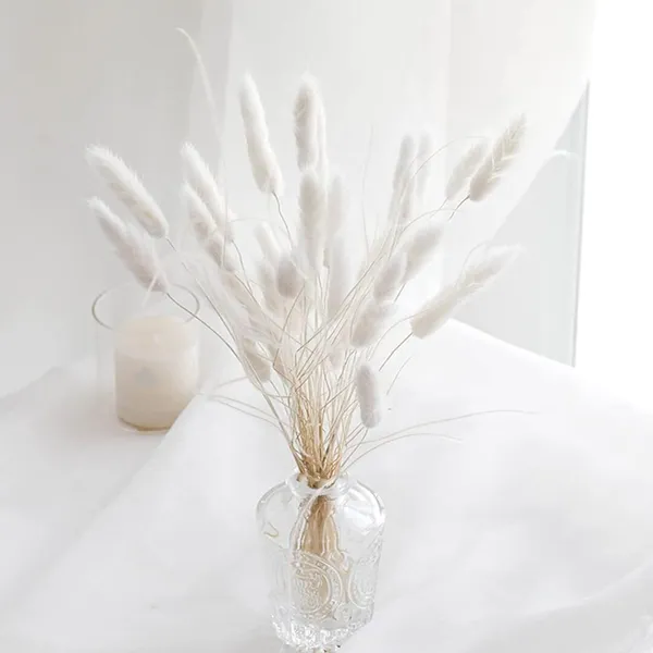 White_Natural_Dried_Bunny_30Pcs_Pack_For_Decoration