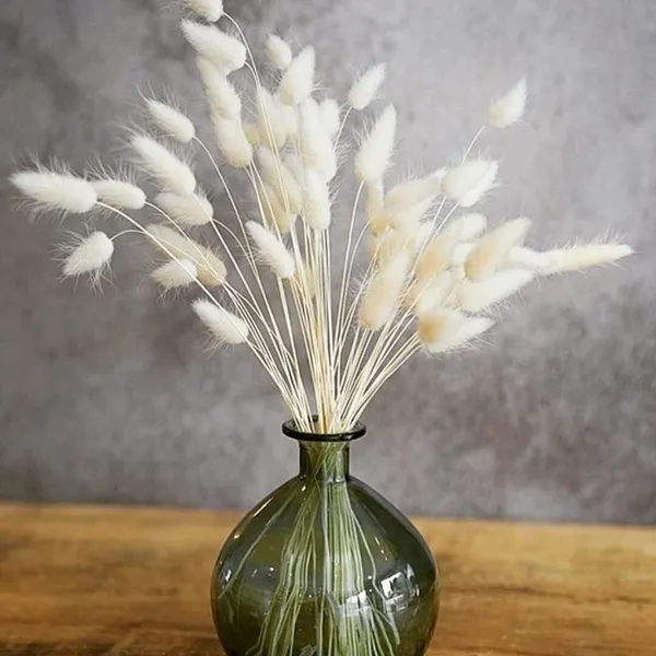 White_Natural_Dried_Bunny_30Pcs_Pack_For_Decoration