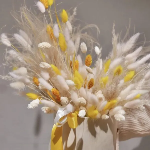 White_Natural_Dried_Bunny_30Pcs_Pack_For_Decoration