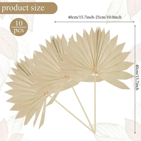 Natural_Dried_Sun_Palm_(10_Pcs_Pack)_For_Decoration