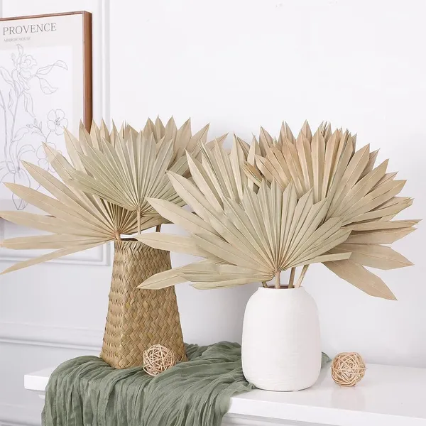 Natural_Dried_Sun_Palm_(10_Pcs_Pack)_For_Decoration