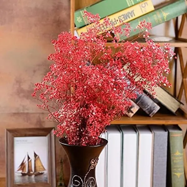 Red_Preserved_Dried_Baby_Breath_For_Decoration