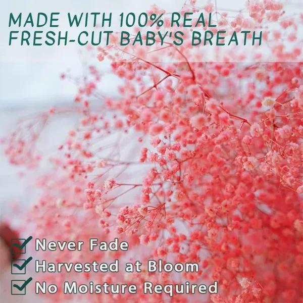 Red_Preserved_Dried_Baby_Breath_For_Decoration