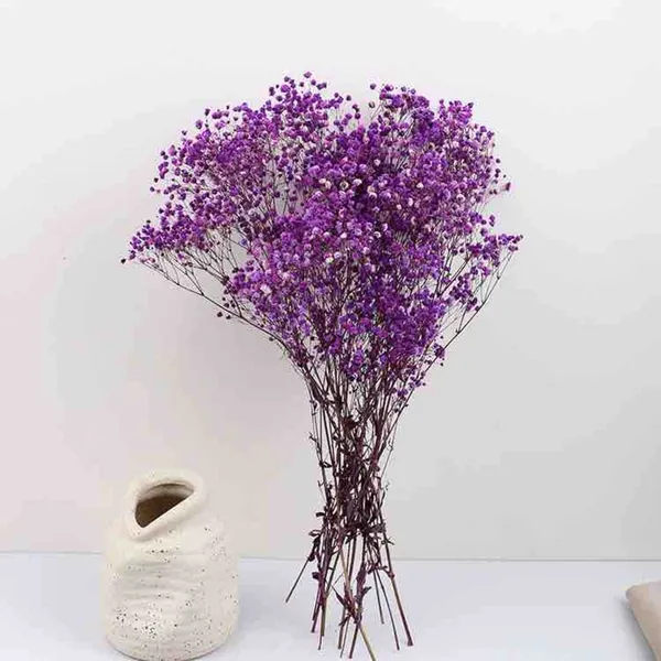 Purple_Preserved_Dried_Baby_Breath_For_Decoration