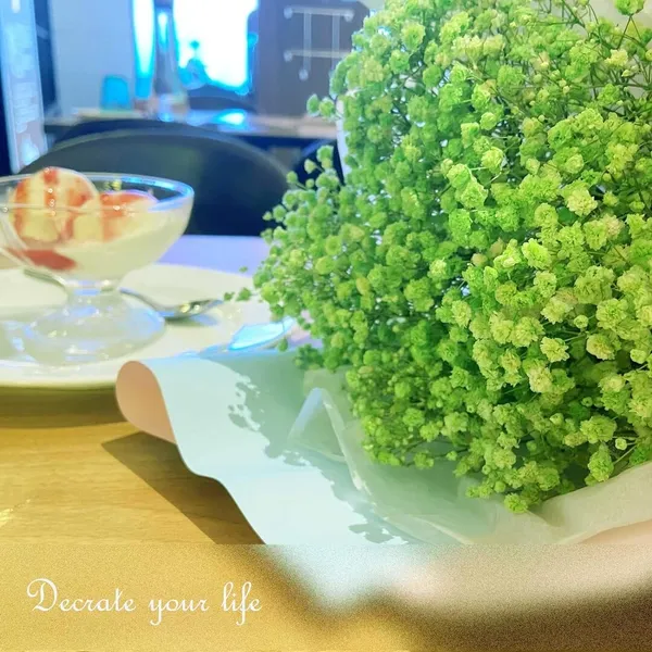 Green_Preserved_Dried_Baby_Breath_For_Decoration