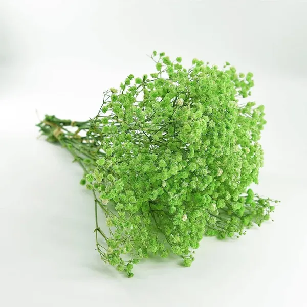 Green_Preserved_Dried_Baby_Breath_For_Decoration
