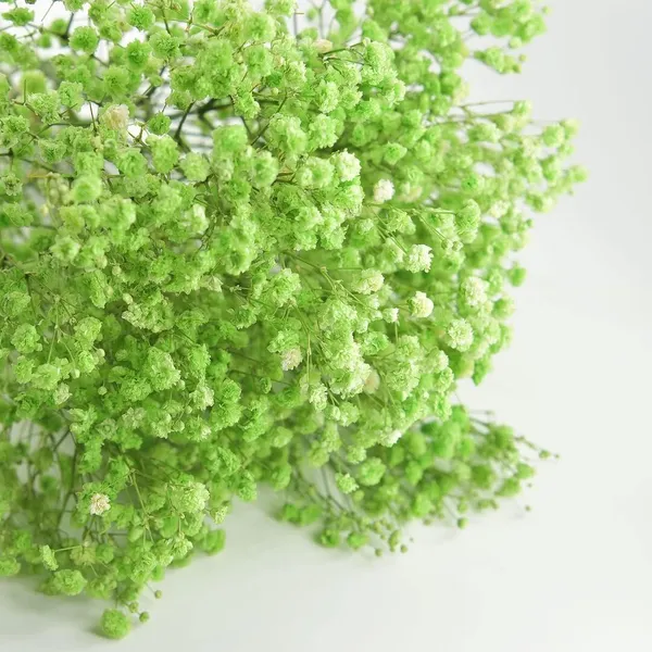 Green_Preserved_Dried_Baby_Breath_For_Decoration