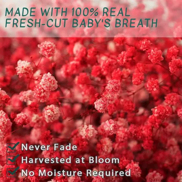 Red_Preserved_Dried_Baby_Breath_For_Decoration