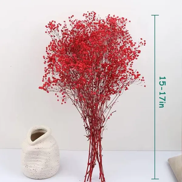 Red_Preserved_Dried_Baby_Breath_For_Decoration